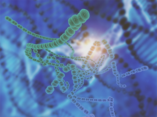 Microbiota